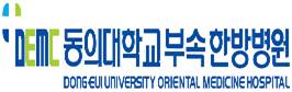 Dong Eui University